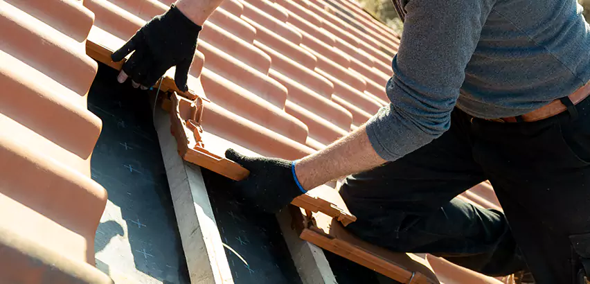 Professional Tile Roof Restoration Services in Edmonds, WA