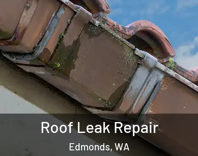  Roof Leak Repair Edmonds, WA